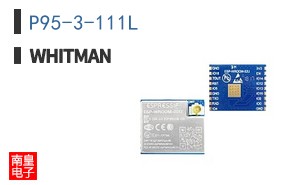 P95-3-111L ͼƬ